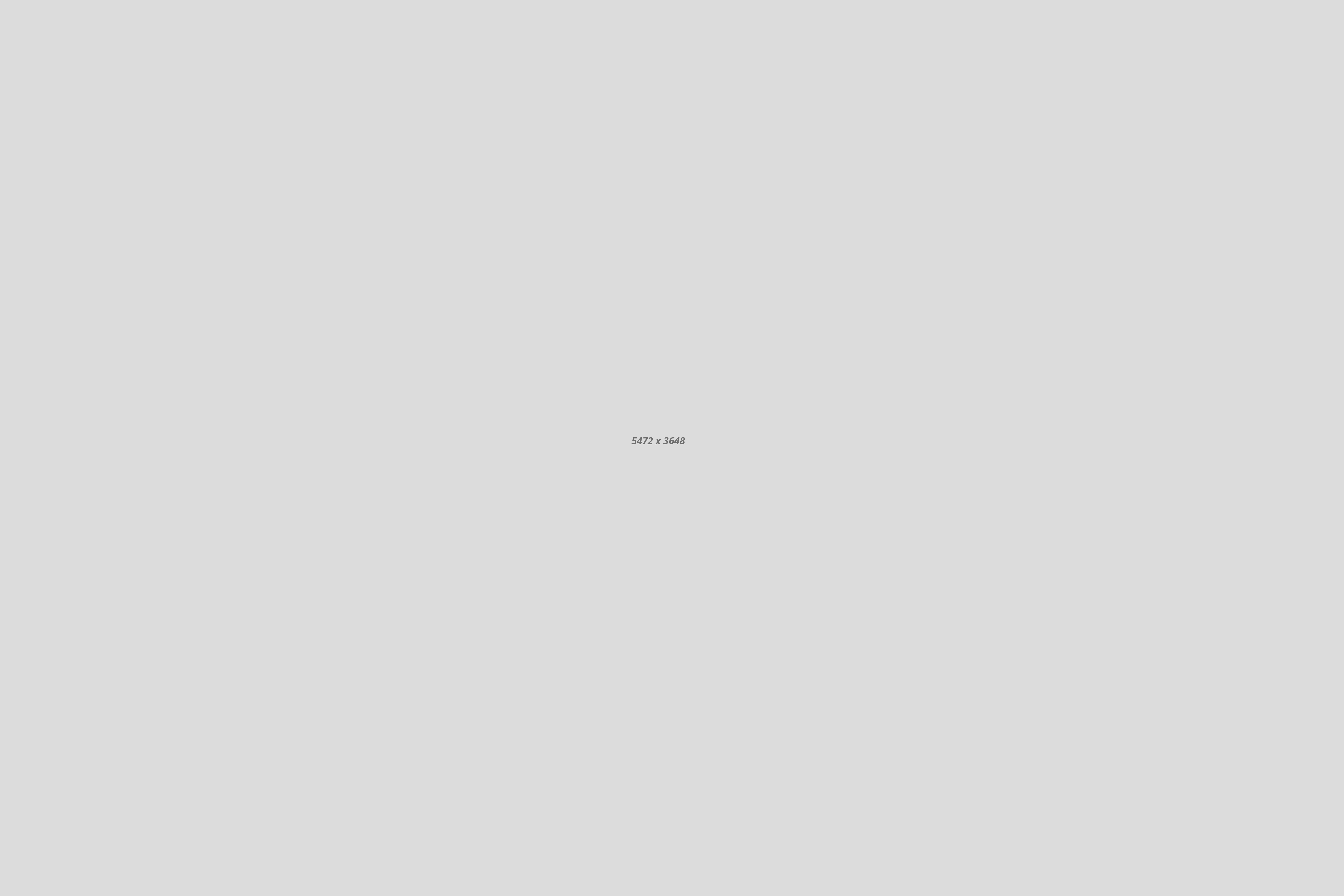 image8 image8